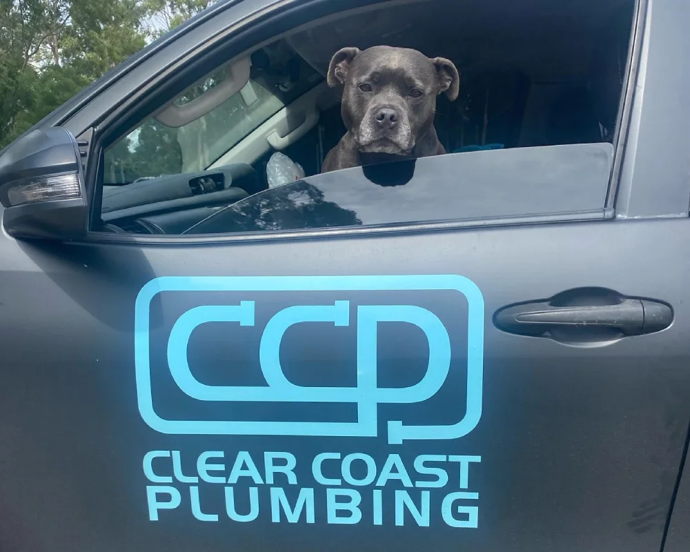 About Clear Coast Plumbing Clear Coast Plumbing truck with dog